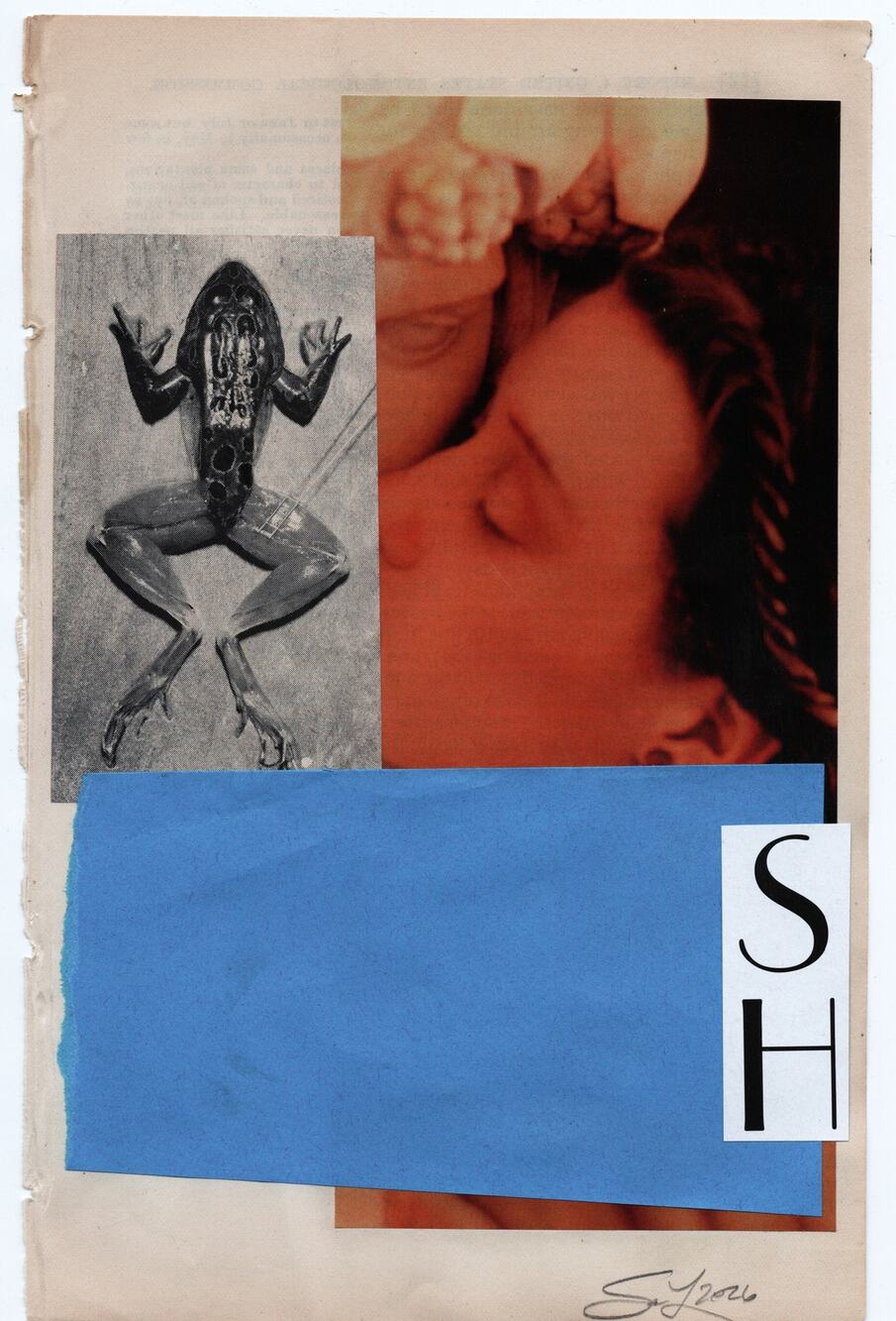 Original Mixed Media Modern Art Collage "Mora" 5.75x9" Signed